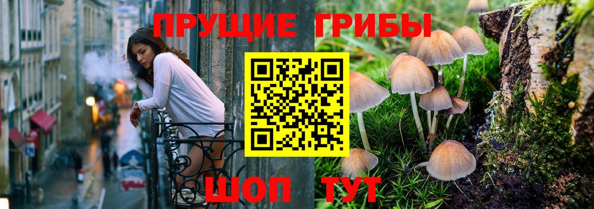 Галлюциногенные грибы Magic Shrooms Свободный