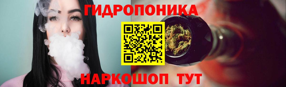 Бошки марихуана Bruce Banner  Вход с VPN  Свободный  Марихуана семена  Марихуана Amnesia  Марихуана Bruce Banner 